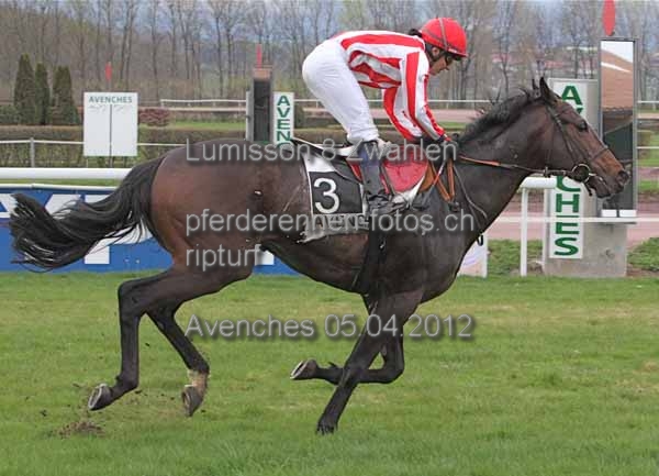 Lumisson 8 Zwahlen prot